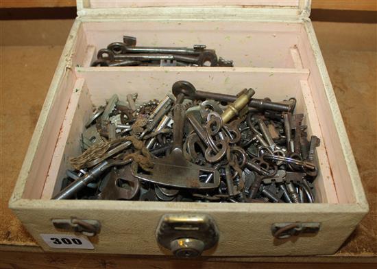 Collection of old keys